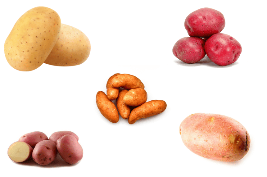 Different potato varieties for Melbourne