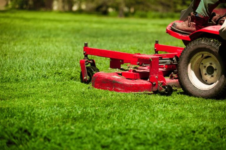 what-time-can-i-mow-my-lawn-qld-queensland-yard-work