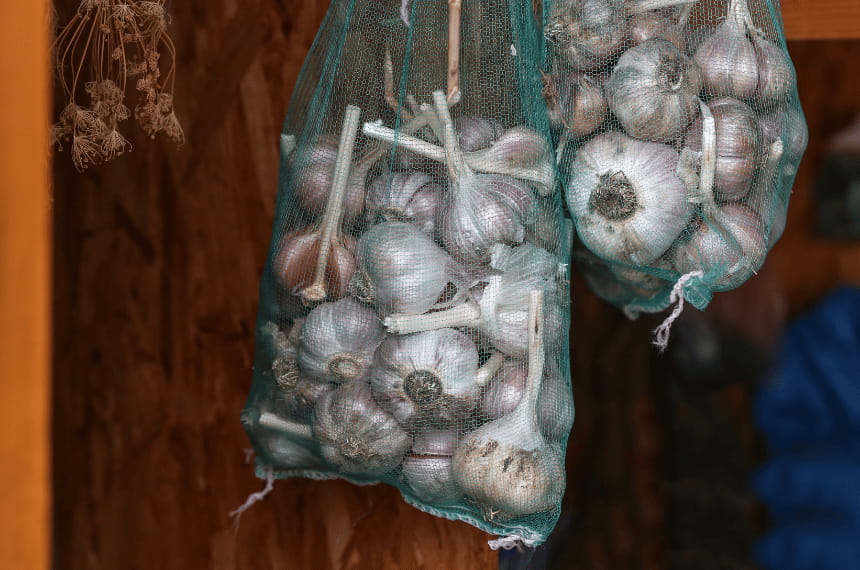 Storing garlic in mesh bags