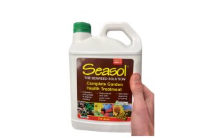 Seasol