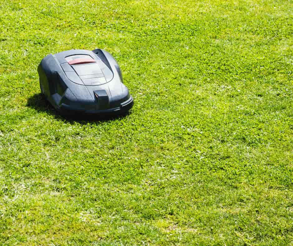 Black robotic lawn mower on grass