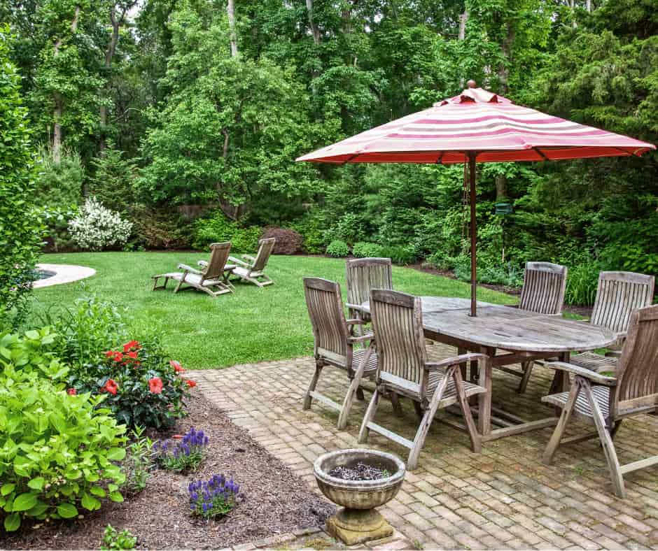 5 Top Neighbours Be Gone Trees with Growing Tips Yard Work