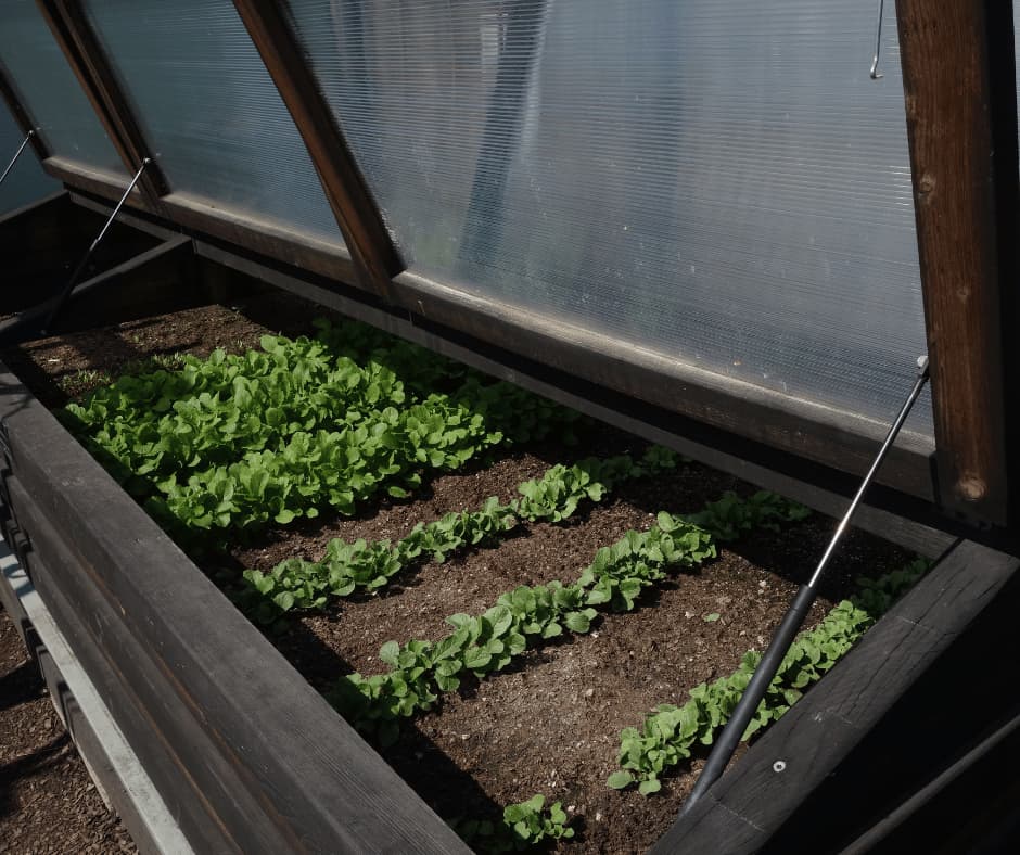 Wooden gardening bed with screen