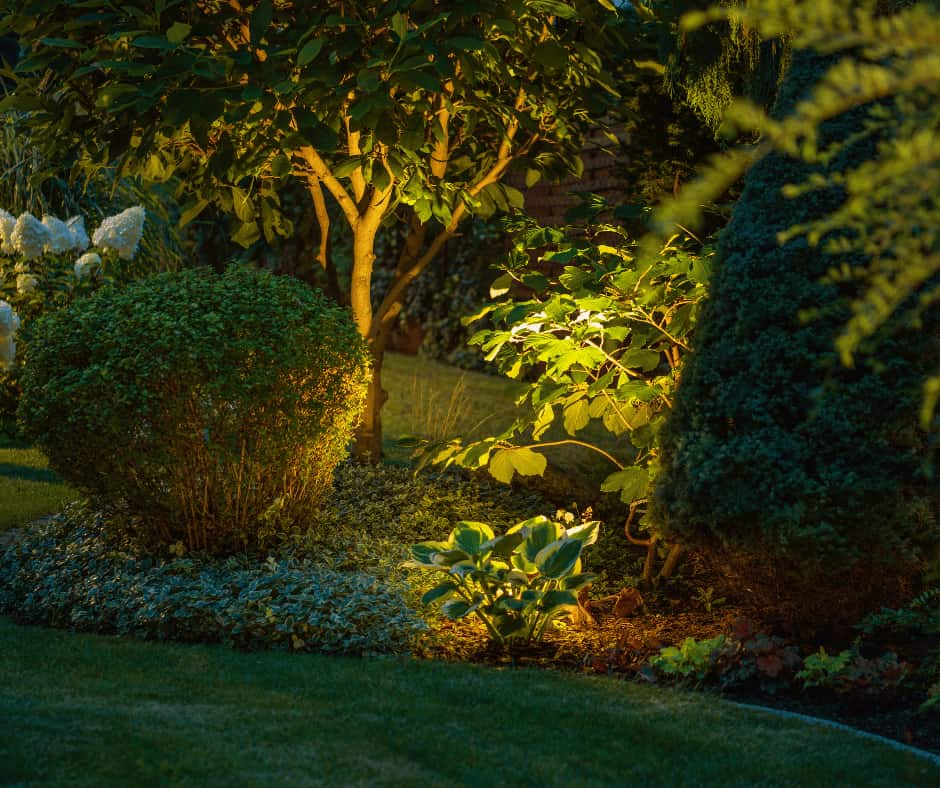 Ambient Lighting in Garden